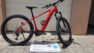 e-Bikes Mountainbike BIXS Core E22