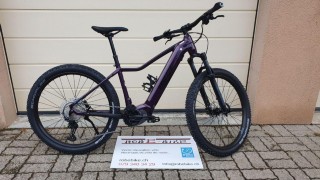 E-Bike kaufen: BIXS Mariposa E12 Neu