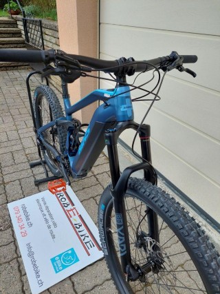 e-Bikes Mountainbike BIXS Sauvage 25E Mariposa