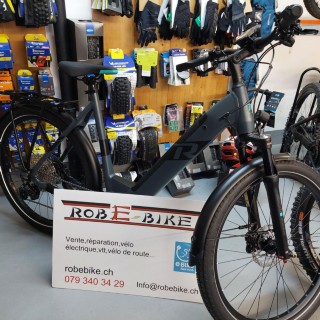 E-Bike kaufen: RAYMON Raymon Touray E 6.5 Aktion