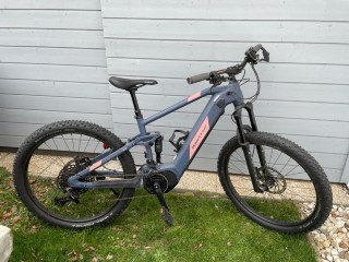e-Bikes Mountainbike WHEELER I- Seen HD