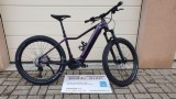 e-Bikes Mountainbike BIXS Mariposa E12