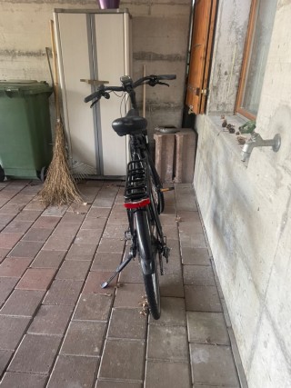 E-Bike kaufen: E-BIKE GUDEREIT EC-5.5 BOSCH PERFORMANCE LINE Occasion