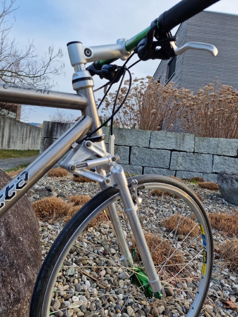 Singlespeed kaufen: SEROTTA Colorado TI Occasion