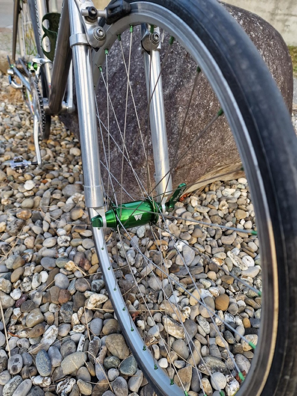 Singlespeed kaufen: SEROTTA Colorado TI Occasion