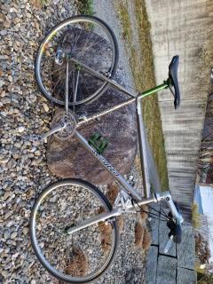  Singlespeed kaufen: SEROTTA Colorado TI Occasion