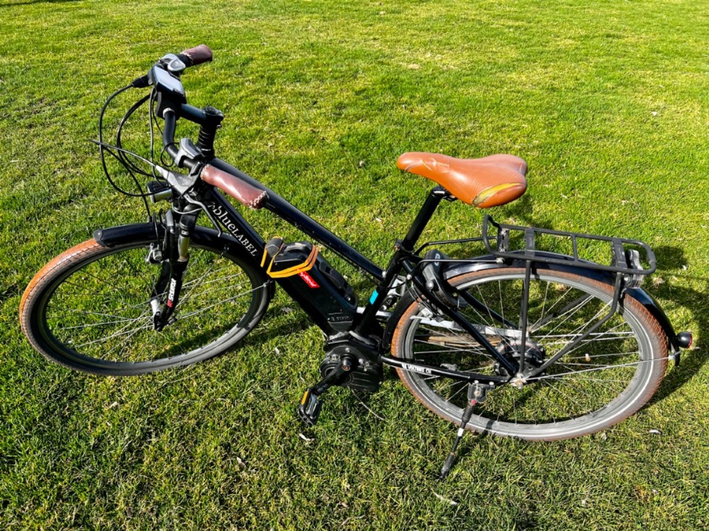 E-Bike kaufen: RIESE & MÜLLER blueLABEL Comfort E-Bike: Cruiser City Hybrid Occasion