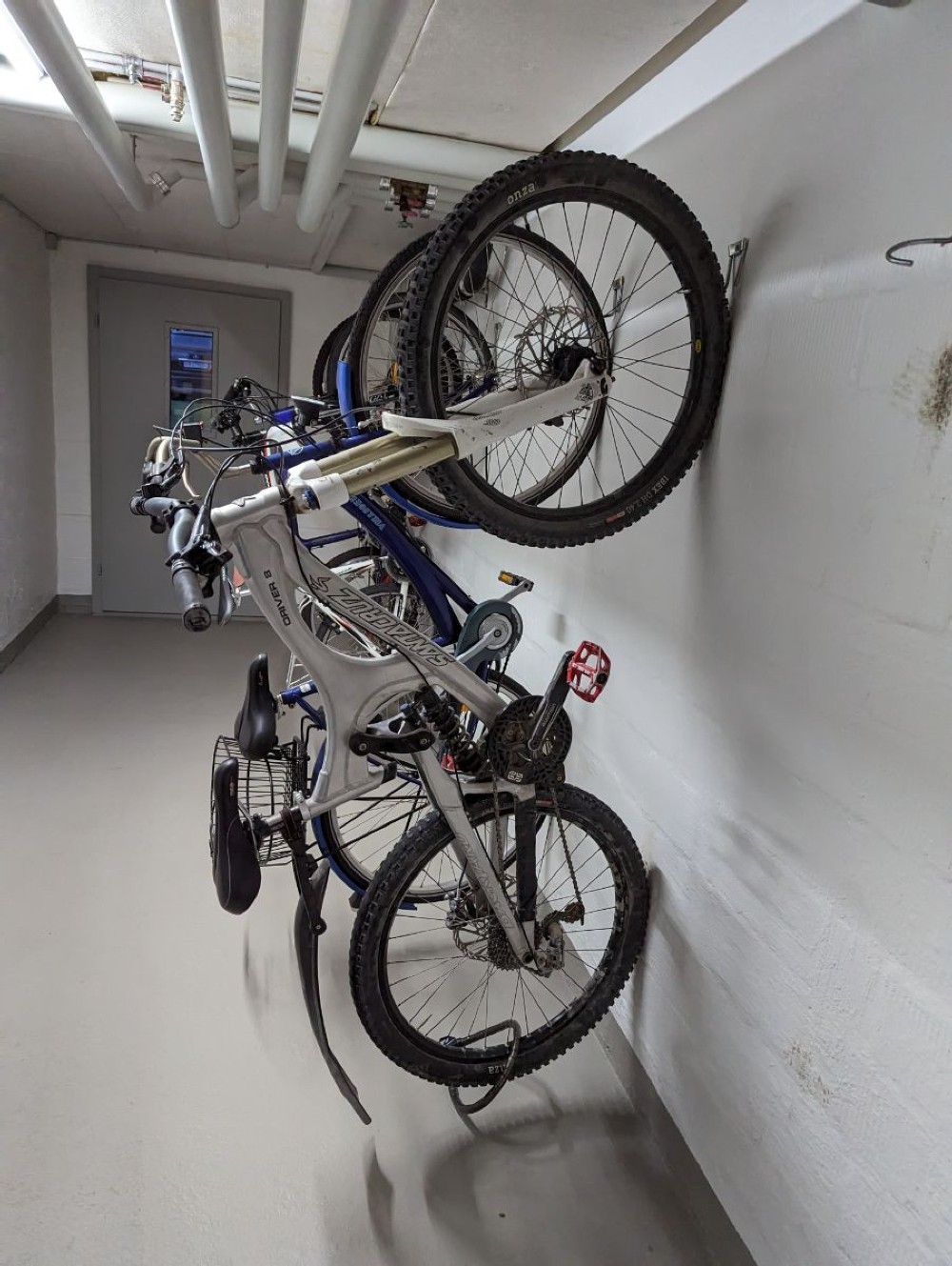 Mountainbike kaufen: SANTA CRUZ Driver 8 Neu