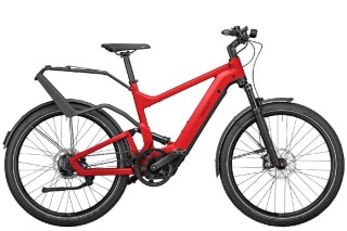 E-Bike kaufen: RIESE & MÜLLER Delite GT Touring Occasion