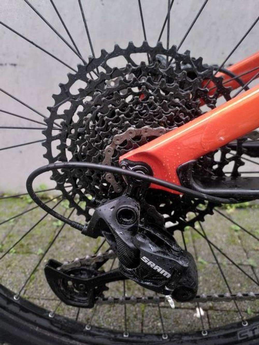 Mountainbike kaufen: CANNONDALE Scalpel Carbon SE II Neu