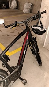 e-Bikes Citybike DIAMANT Zouma Supreme +S