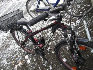  Kindervelo kaufen: BIXS STORM Occasion