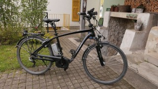 E-Bike kaufen: FLYER T10 Occasion