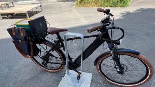 E-Bike kaufen: TREK Ego Movement Tarzan Explorer 25 Occasion