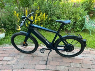 E-Bike kaufen: STROMER ST1X  Occasion