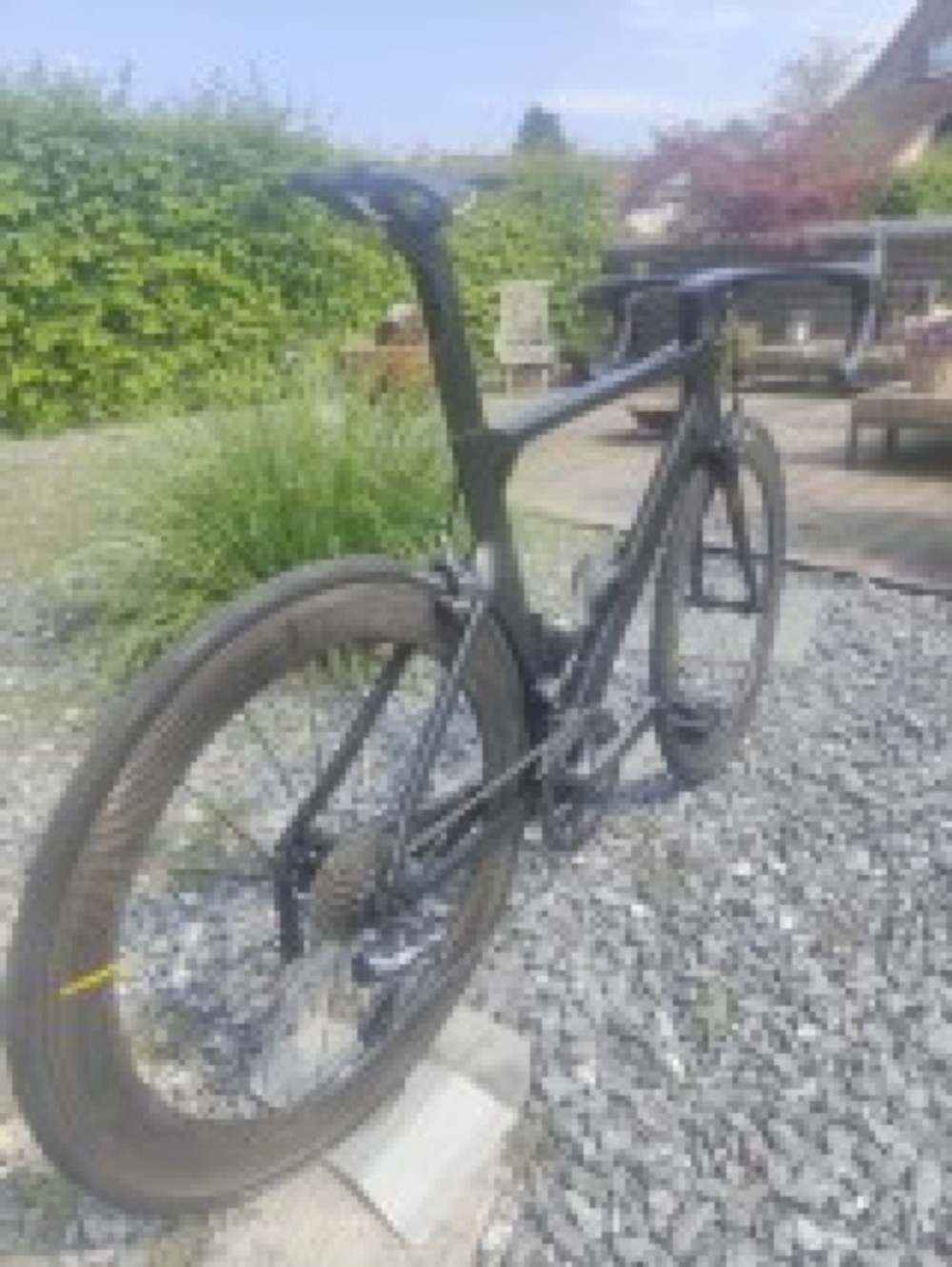 Rennvelo kaufen: COLNAGO Concept Occasion