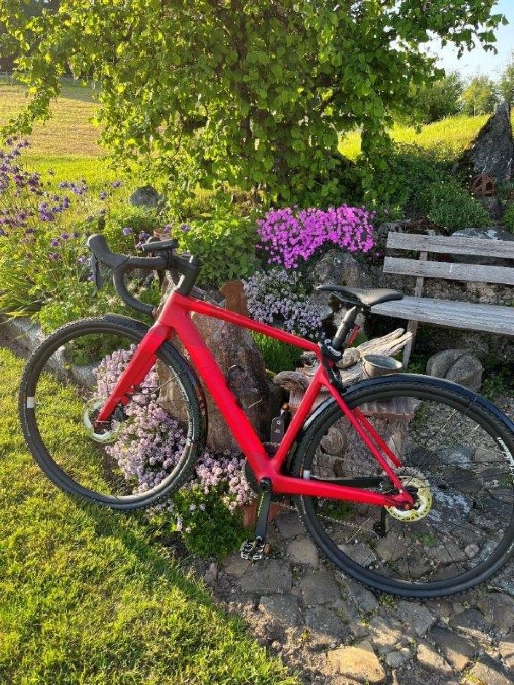 Cyclocross kaufen: THÖMUS Sliker X Ultimate 52 rot Ultegra Occasion