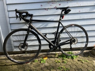  Rennvelo kaufen: PRICE Road Premium  Occasion