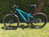 e-Bikes Mountainbike TREK Rail 9