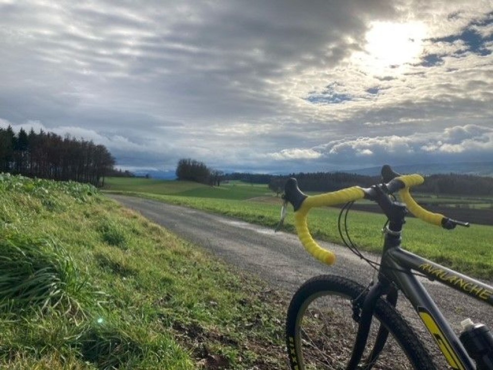 Cyclocross kaufen: GT Avalanche Occasion