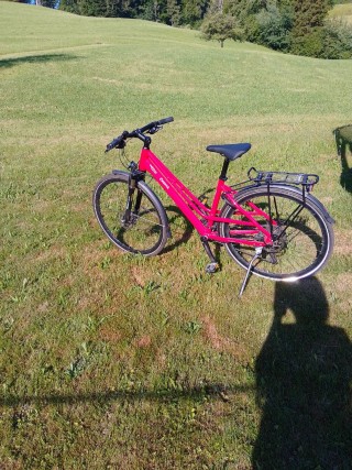  Citybike kaufen: CRESTA Cresta Veloce Occasion