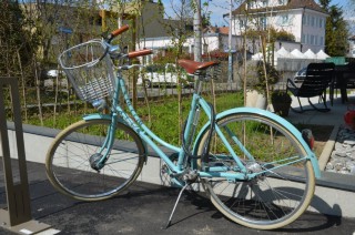 Vélo urbain kaufen: PASHLEY Country Living Occasion