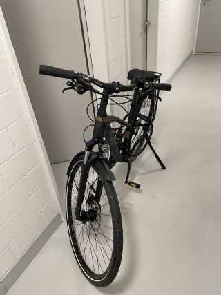  Vélo urbain kaufen: RAYMON TourRay 5.0 Lady 2023 Occasion