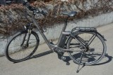 e-Bikes Andere RALEIGH Newgate Premium