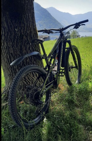 E-Bike kaufen: SPECIALIZED LEVO COMP ALLOY NB Occasion