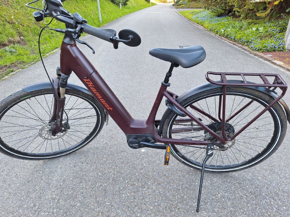 E-Bike kaufen: DIAMANT Zagora Deluxe Occasion