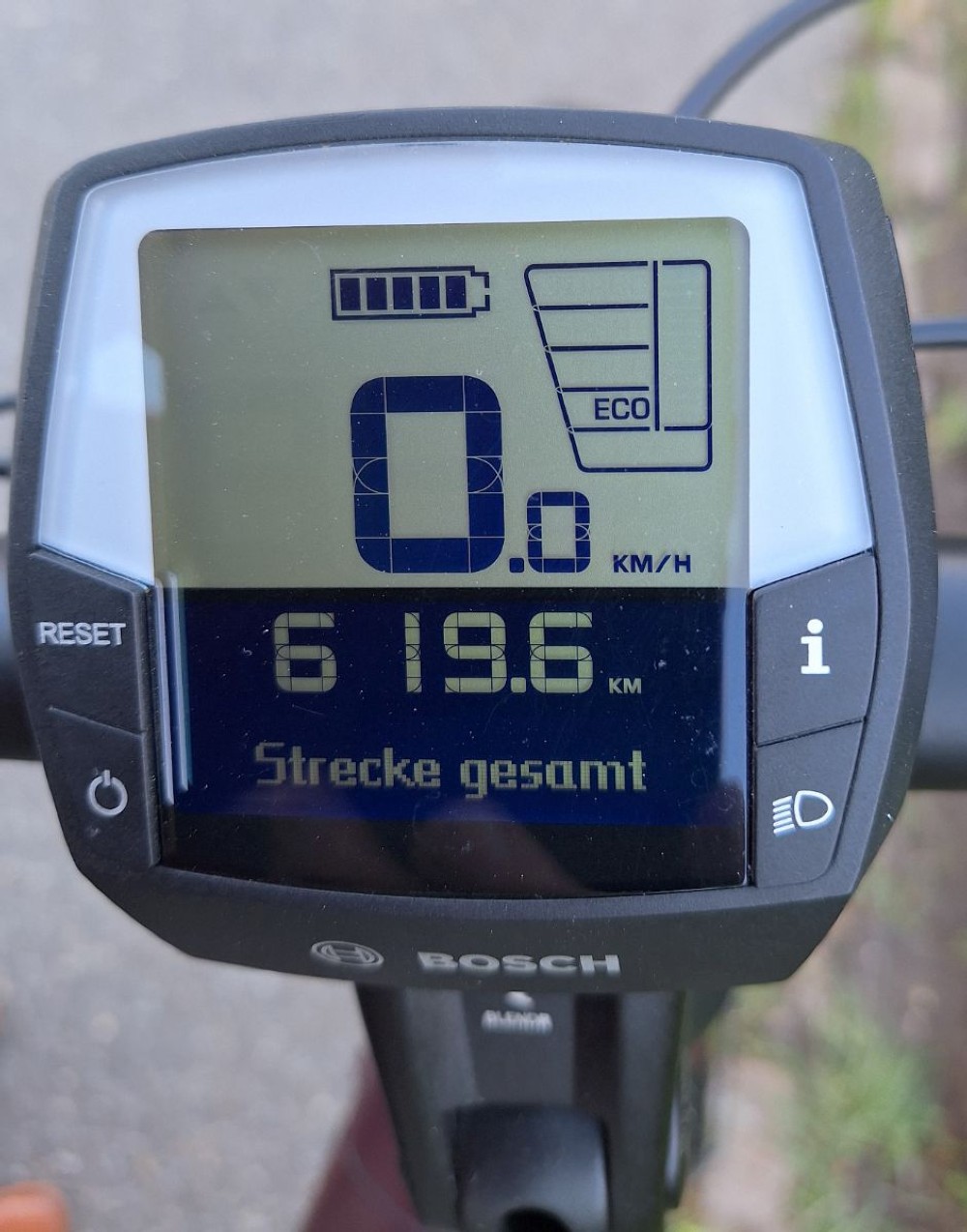 E-Bike kaufen: DIAMANT Zagora Deluxe Occasion