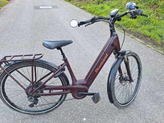 E-Bike kaufen: DIAMANT Zagora Deluxe Occasion