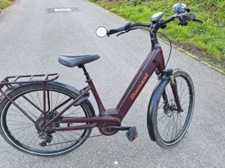 E-Bike kaufen: DIAMANT Zagora Deluxe Occasion
