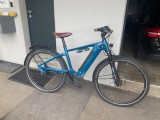 e-Bikes Citybike IBEX IBEX E-Bike ETimeless