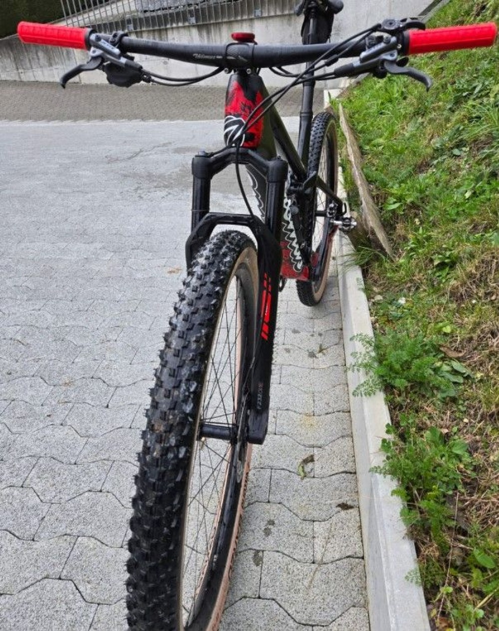 Mountainbike kaufen: THÖMUS Lightrider Worldcup Tokyo "Ganbaru" XTR Occasion