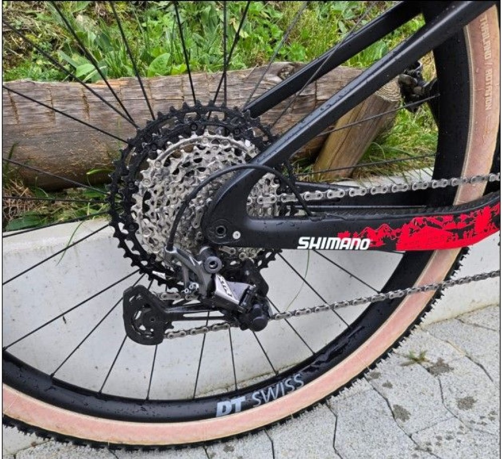Mountainbike kaufen: THÖMUS Lightrider Worldcup Tokyo "Ganbaru" XTR Occasion