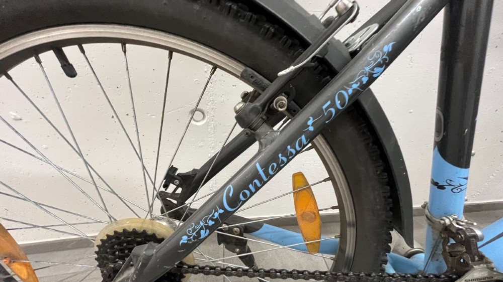 Mountainbike kaufen: SCOTT Contessa 50 Occasion