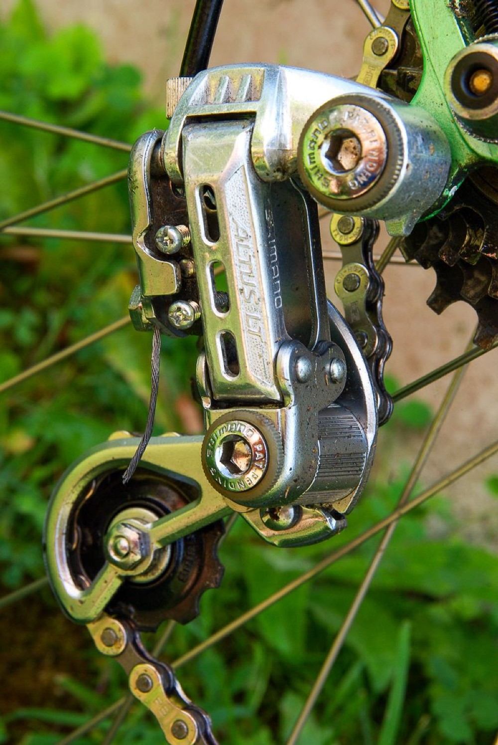 Rennvelo kaufen: TIGRA Professional Occasion