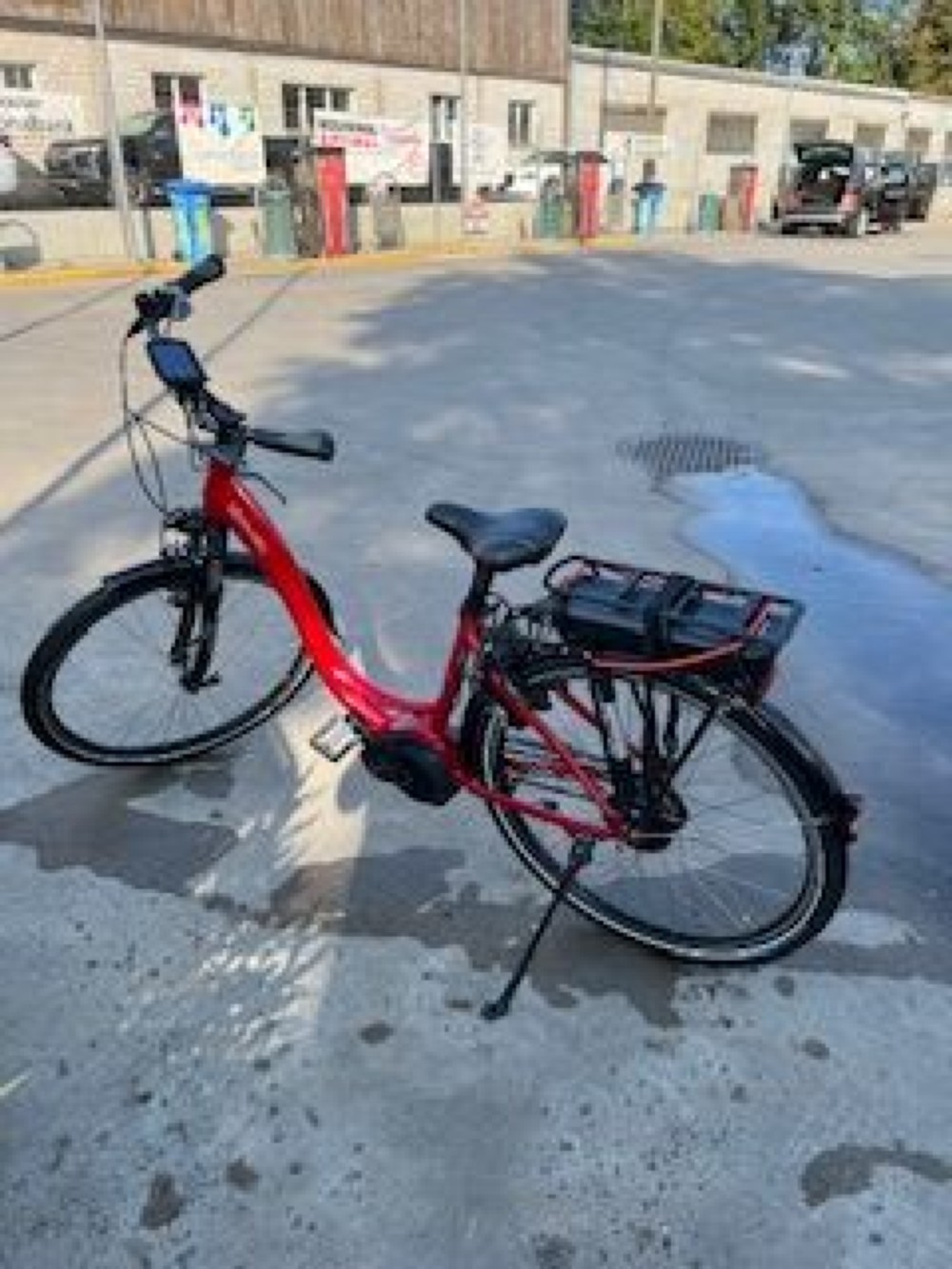 E-Bike kaufen: RIESE & MÜLLER BlueLabel Swing Harmony Occasion