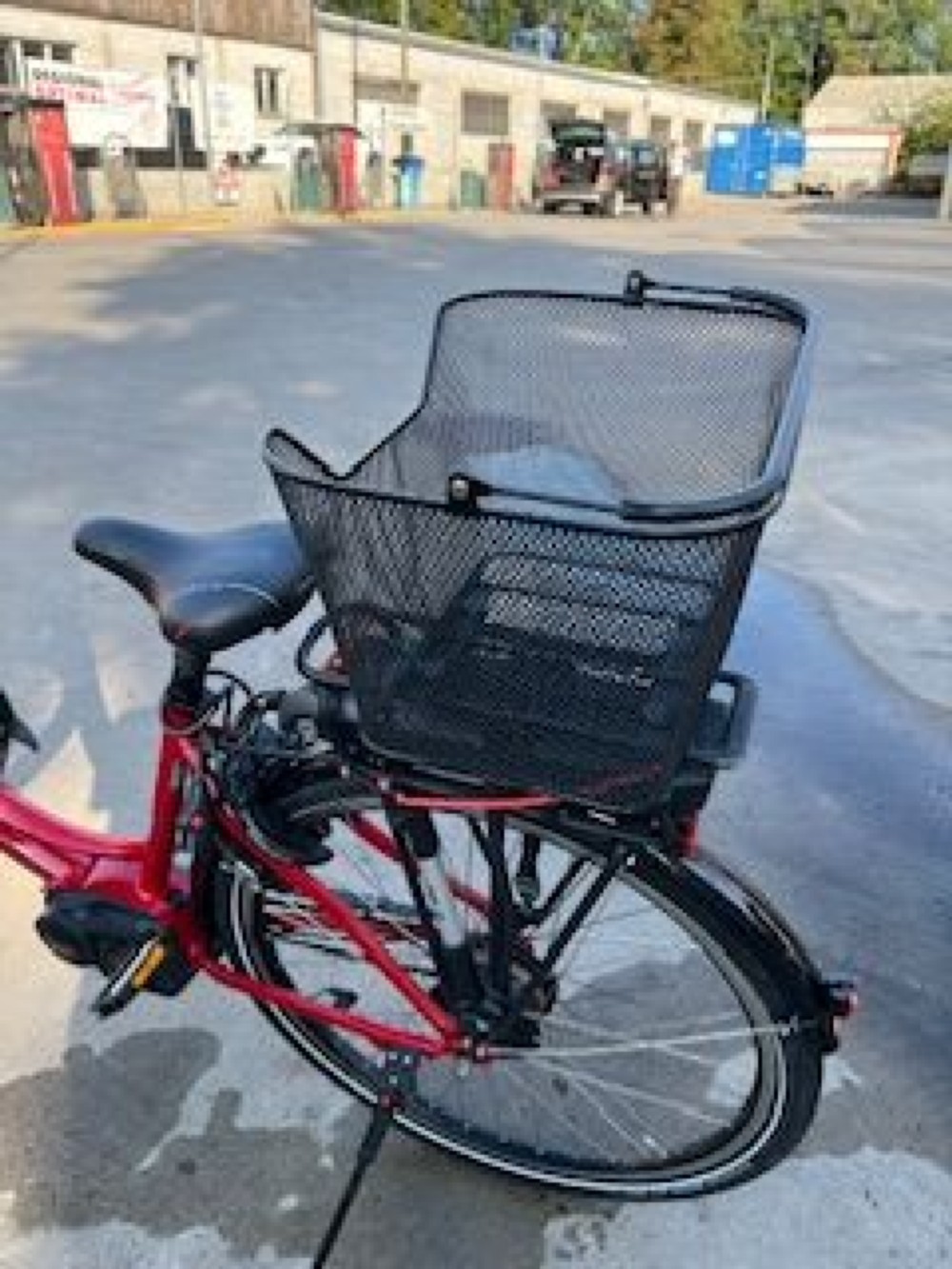 E-Bike kaufen: RIESE & MÜLLER BlueLabel Swing Harmony Occasion