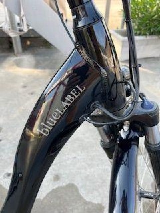 E-Bike kaufen: RIESE & MÜLLER BlueLabel Swing Harmony Occasion