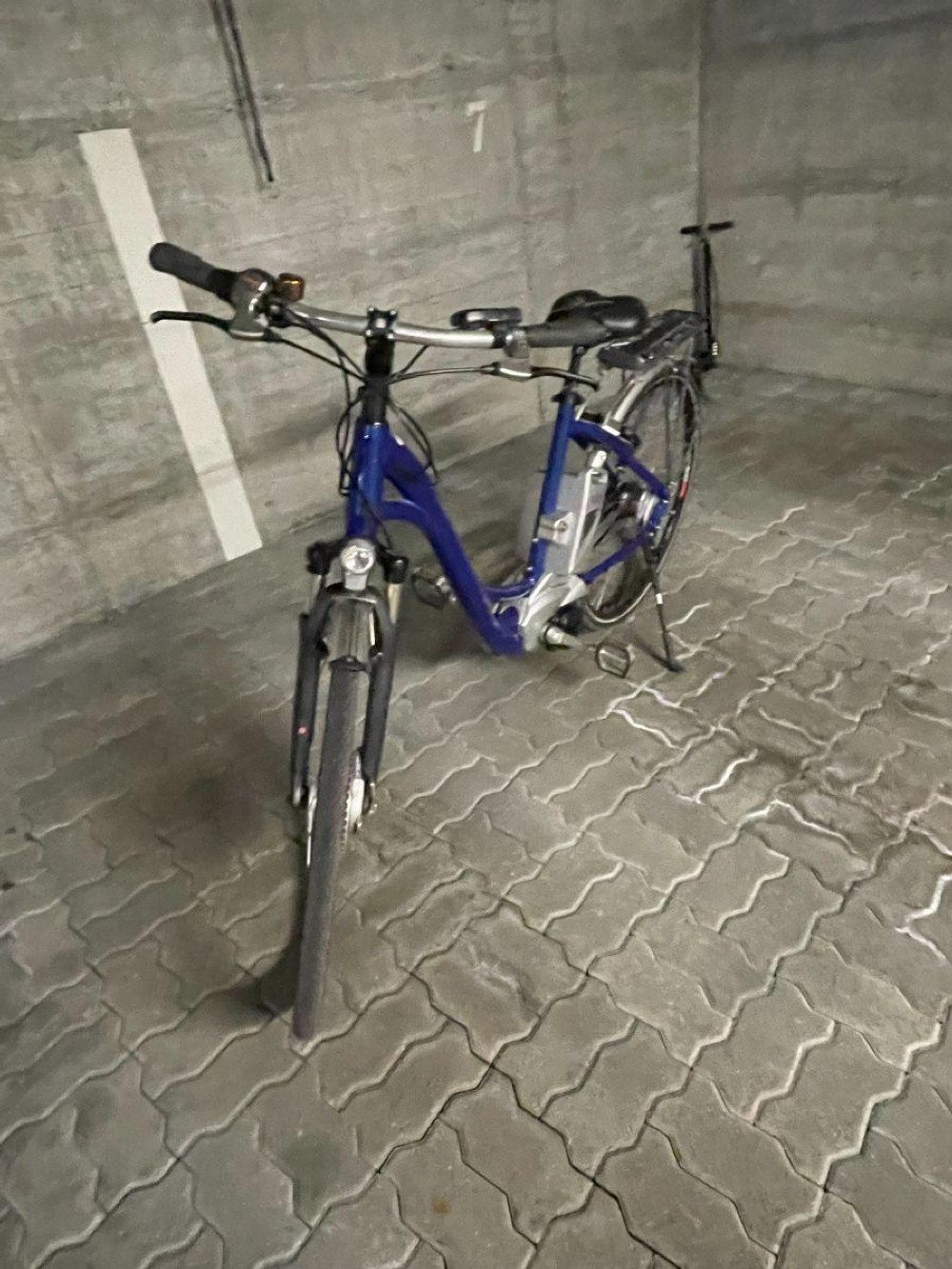 E-Bike kaufen: FLYER T8 Deluxe 36V Occasion