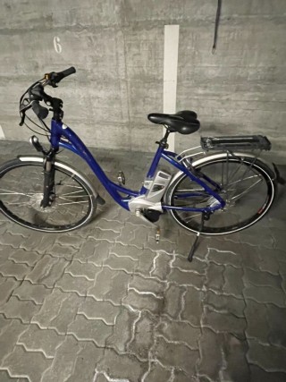E-Bike kaufen: FLYER T8 Deluxe 36V Occasion