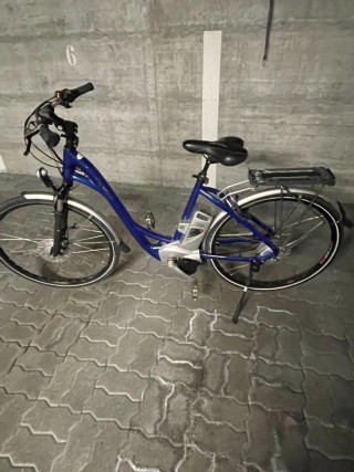 E-Bike kaufen: FLYER T8 Deluxe 36V Occasion