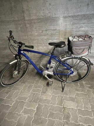 E-Bike kaufen: FLYER T8 Deluxe 36V Occasion