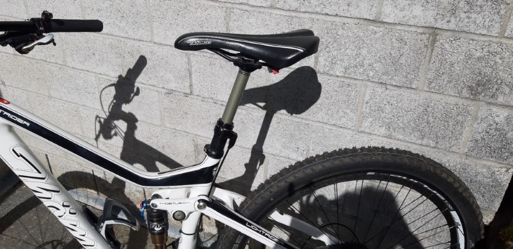 Mountainbike kaufen: THÖMUS Lightrider CT Race 29' Occasion