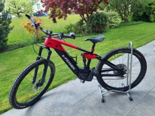 E-Bike kaufen: e-FRAMER E-Framer EIGER Occasion