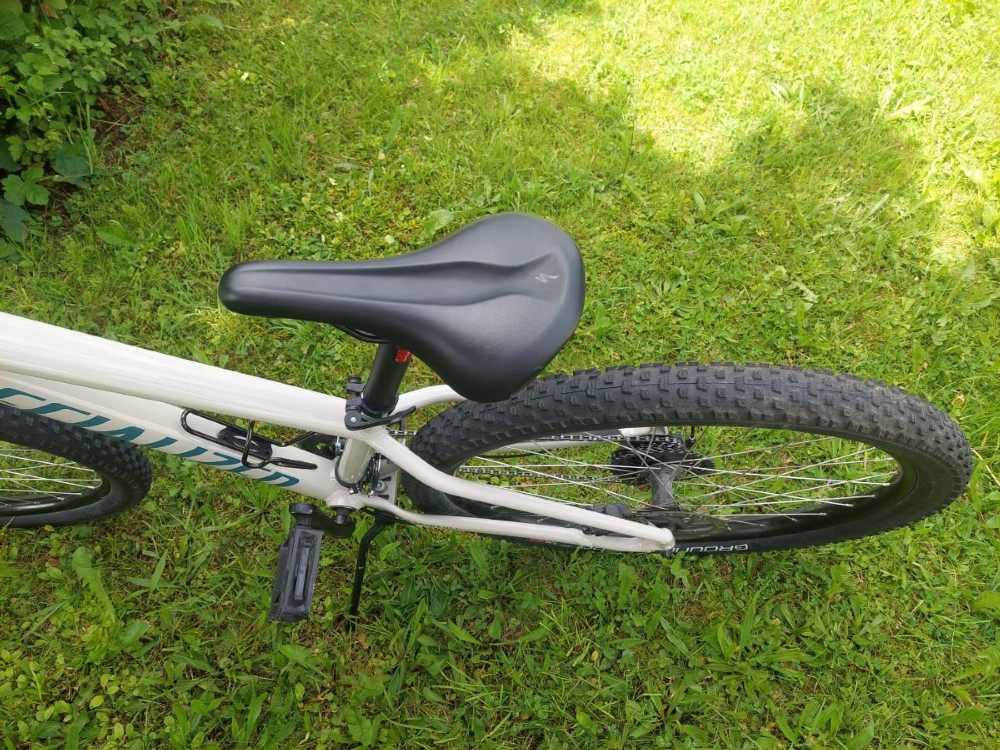 Mountainbike kaufen: SPECIALIZED Rockhopper Occasion