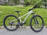 Bikes Mountainbike SPECIALIZED Rockhopper