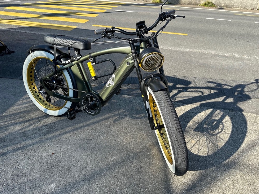E-Bike kaufen: E-BIKE Mobygo Colonel Racer Occasion